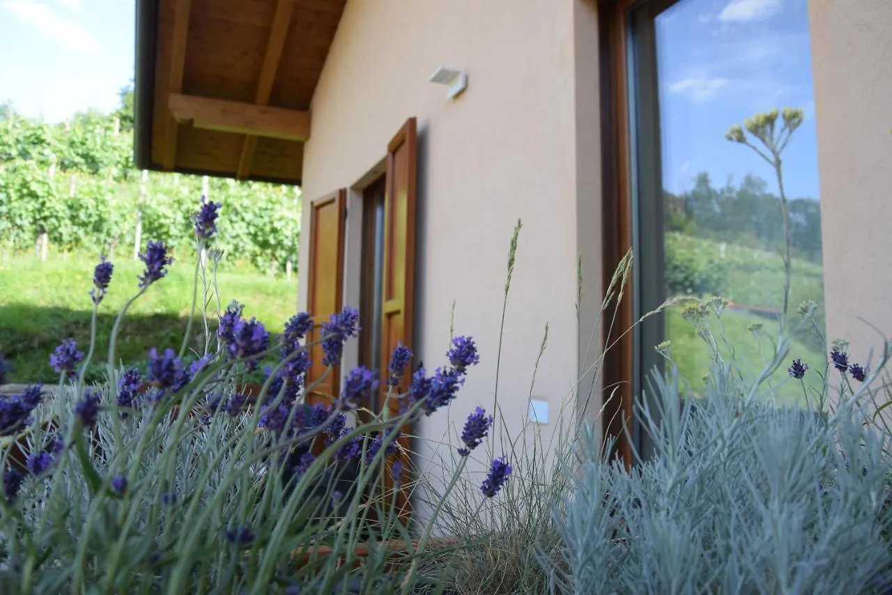 Couette-café Bed and Breakfast Al-Colle à Sotto il Monte