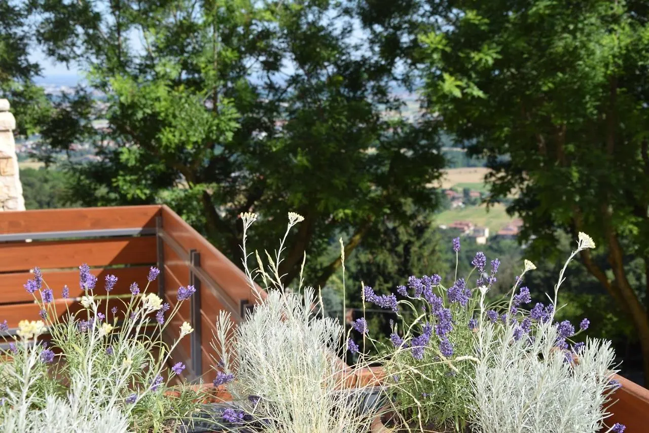 Al-Colle Bed & Breakfast Sotto il Monte 0*,