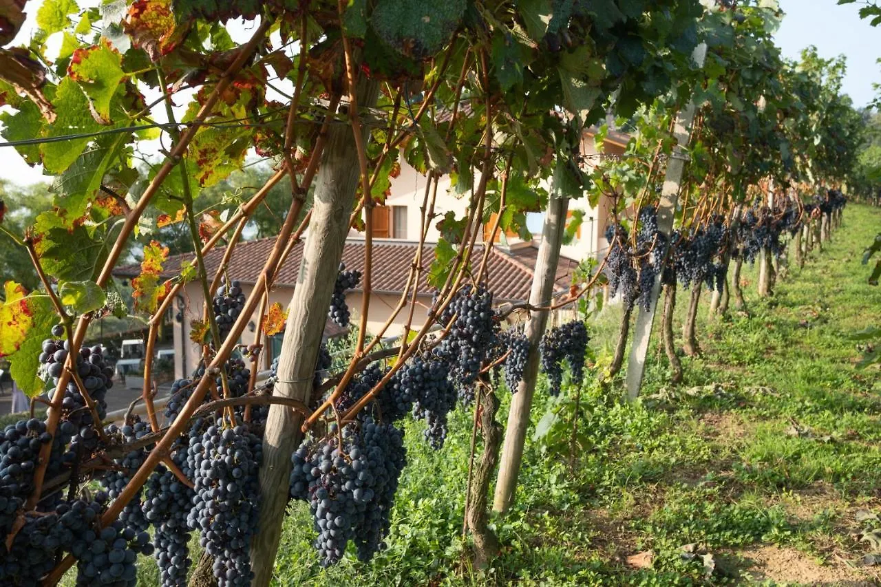 Al-Colle Bed & Breakfast Sotto il Monte Italy
