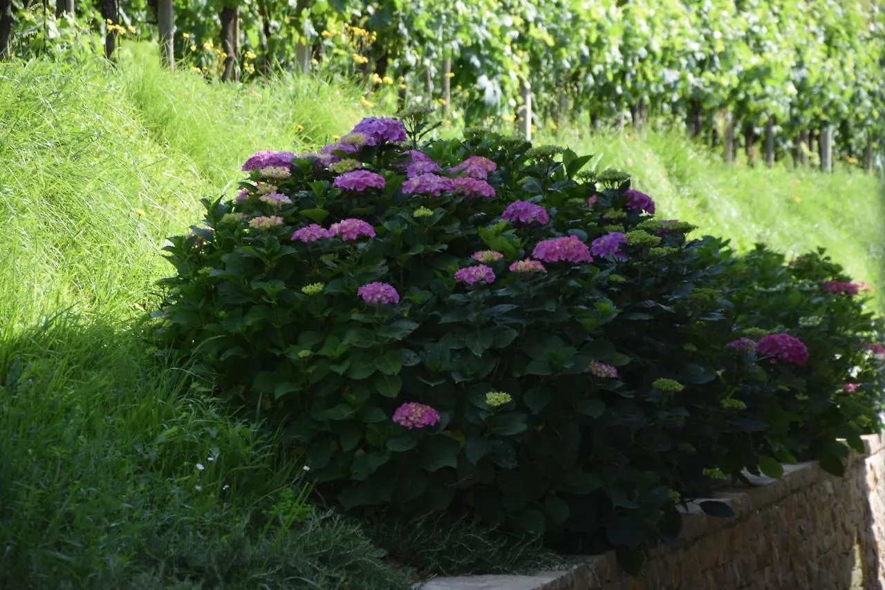 Al-Colle Bed & Breakfast Sotto il Monte